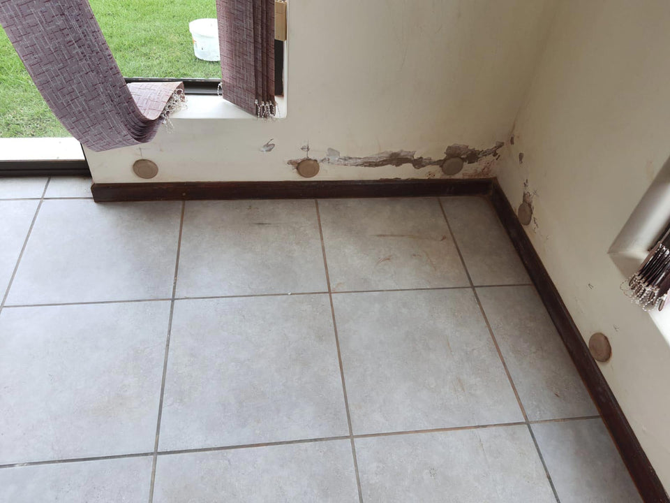 Damp Plug In Damp Ventilation Solution in the Home – DampVent