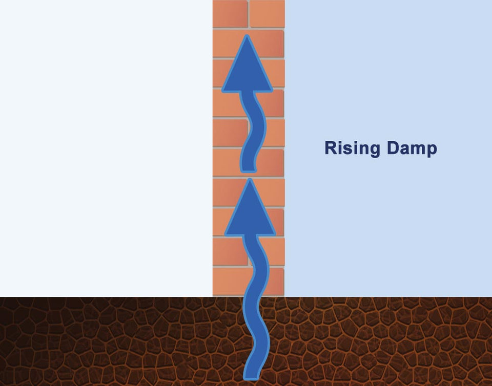 rising damp illustration